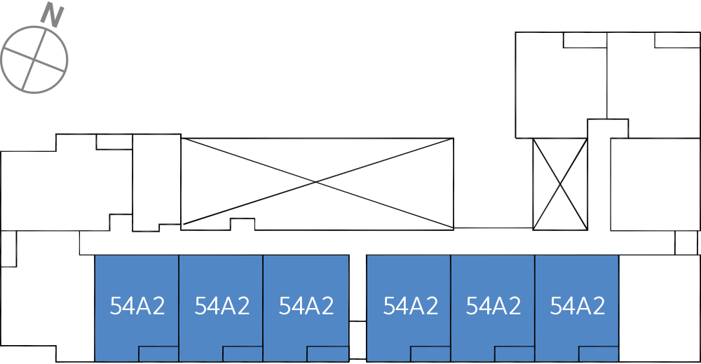 타입