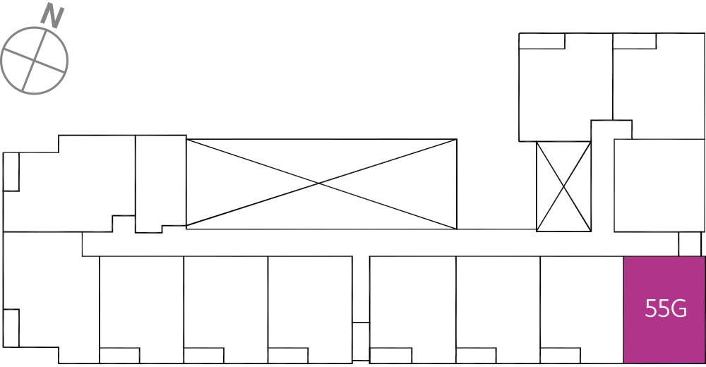 타입