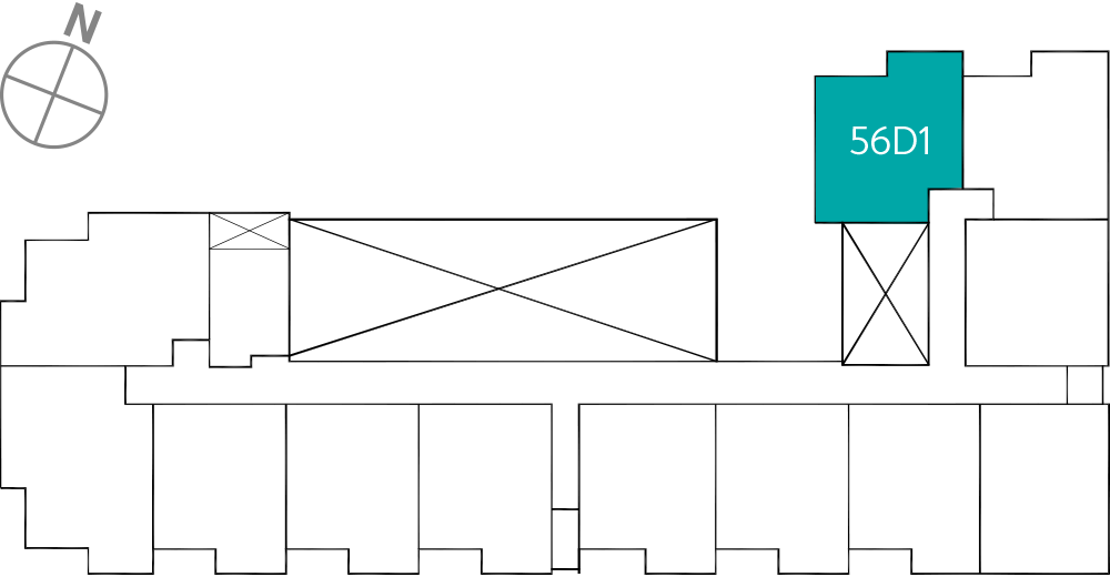 타입