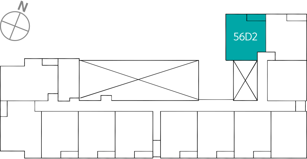 타입