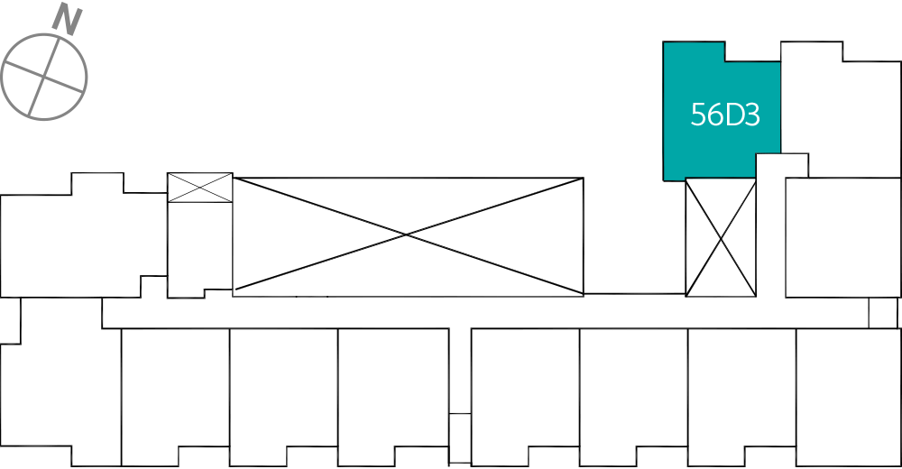 타입