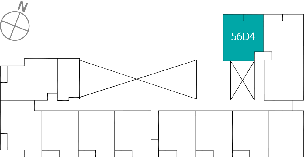 타입