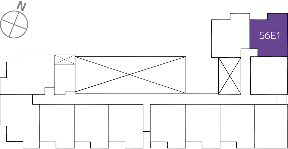 타입