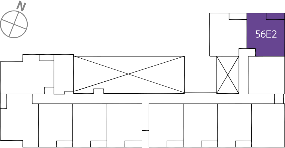 타입