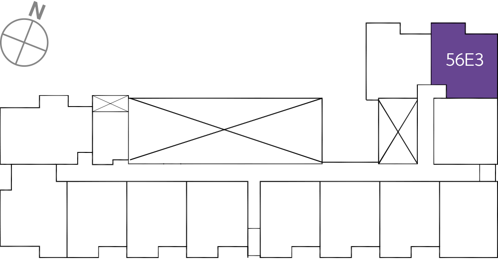 타입
