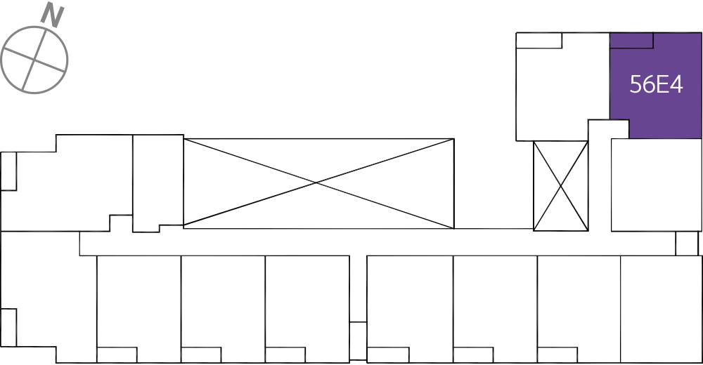 타입