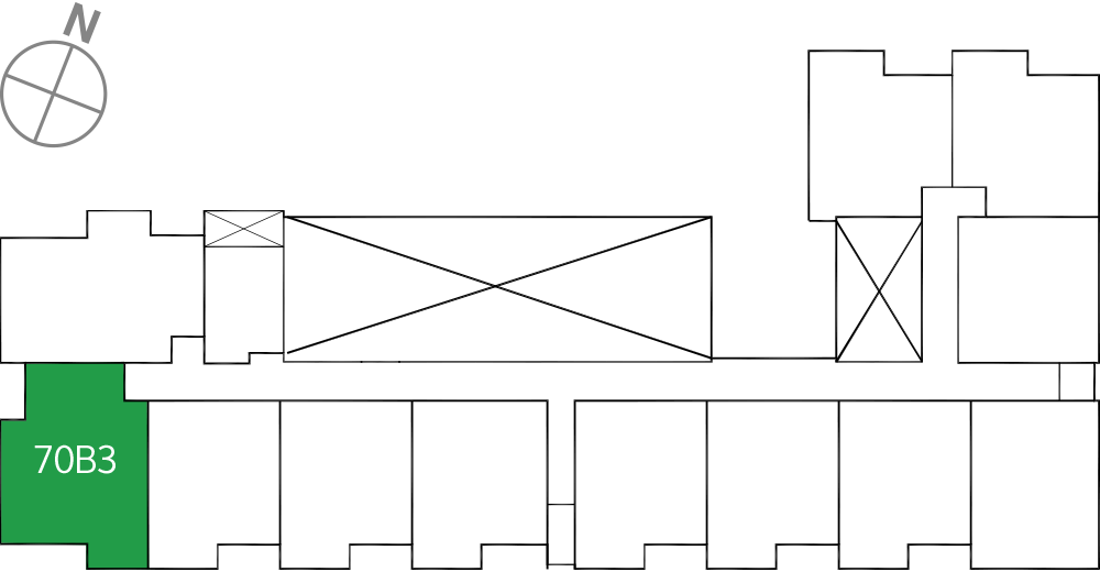 타입
