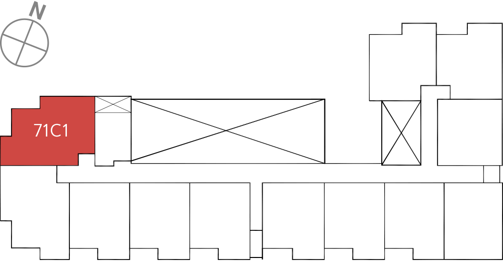 타입