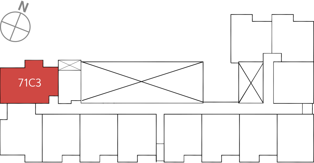 타입